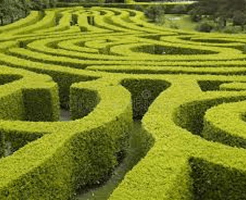 Labyrinth – Lebensweg